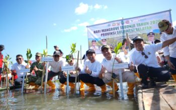 Hari Mangrove Sedunia 2026, Pemprov Sulsel Ajak Kolaborasi Percepat Pemulihan Ekosistem Mangrove di Pangkep