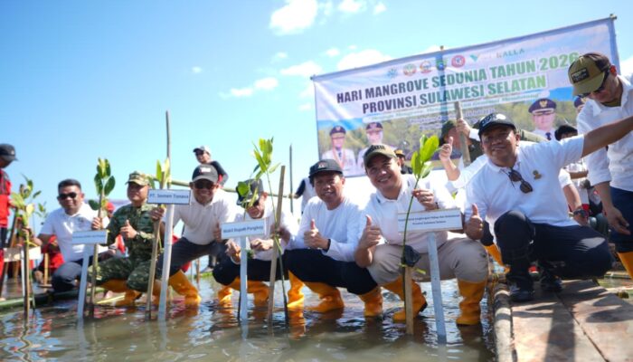 Hari Mangrove Sedunia 2026, Pemprov Sulsel Ajak Kolaborasi Percepat Pemulihan Ekosistem Mangrove di Pangkep