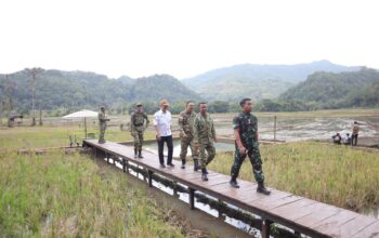 Bupati Bone Dorong Pengembangan Mina Padi,  Dongkrak Ekonomi Petani dan Agrowisata