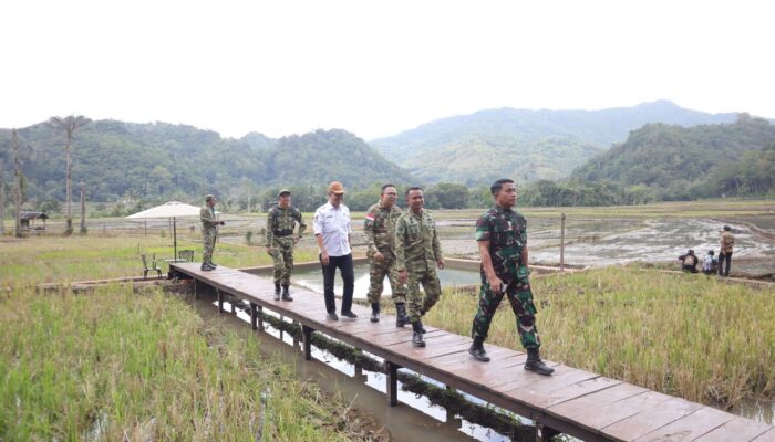 Bupati Bone Dorong Pengembangan Mina Padi,  Dongkrak Ekonomi Petani dan Agrowisata