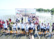 PT Semen Tonasa Ambil Bagian Hari Mangrove Sedunia, Tanam 7.000 Bibit Mangrove