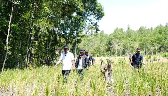 Selamatkan Lahan Pertanian di 24 Kabupaten Kota, Gubernur Sulsel Kerahkan Pompanisasi dan Sumur Bor