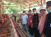 Bupati Bone Studi Tiru Sukses Peternak Ayam di Bangli, Siapkan Hilirisasi Ayam Terintegrasi di Bone