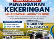 Ancaman El Nino, Gubernur Sulsel Siapkan Bantuan Pompa Air dan Sumur Bor Bagi Lahan Pertanian