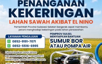 Ancaman El Nino, Gubernur Sulsel Siapkan Bantuan Pompa Air dan Sumur Bor Bagi Lahan Pertanian