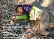 Pria Ditemukan Meninggal di Desa Melle Dua Boccoe, Diduga ODGJ