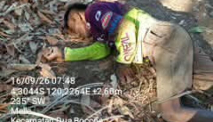 Pria Ditemukan Meninggal di Desa Melle Dua Boccoe, Diduga ODGJ