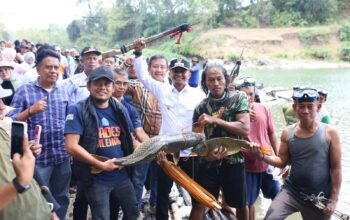 Hadiri Mappabaje’ Hingga Mappajala di Binuang, Bupati Bone Salurkan 8 Ribu Benih Ikan