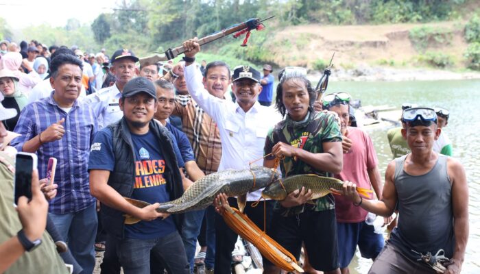 Hadiri Mappabaje’ Hingga Mappajala di Binuang, Bupati Bone Salurkan 8 Ribu Benih Ikan