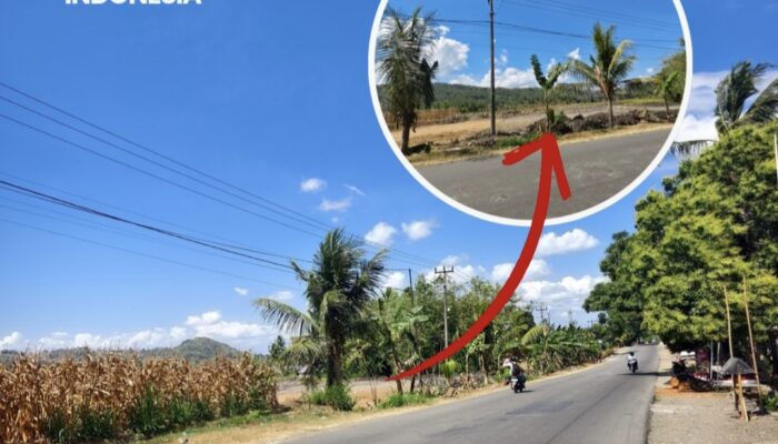 Ini Lokasi Rencana Pembangunan SPBU Pertamina di Mattaropuli Bone