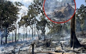 Kebakaran Lahan di Amali, TNI-Polri Bersama Warga Bergerak Cepat Padamkan Api Agar Tak Meluas