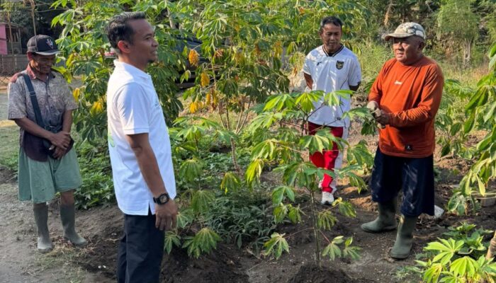 Jalan Pagi, Bupati Bone Apresiasi Warga Macege Manfaatkan Lahan Produktif