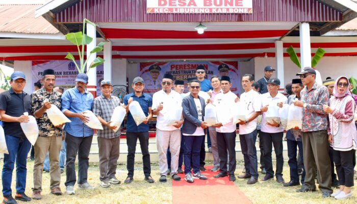 Dorong Ketahanan Pangan Masyarakat, Bupati Bone Bagikan 10 Ribu Bibit Ikan ke Desa se-Kecamatan Libureng