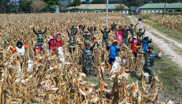 Yonarmed 21/Kawali Optimalkan 21 Hektare Lahan untuk Pertanian, Perikanan, dan Peternakan