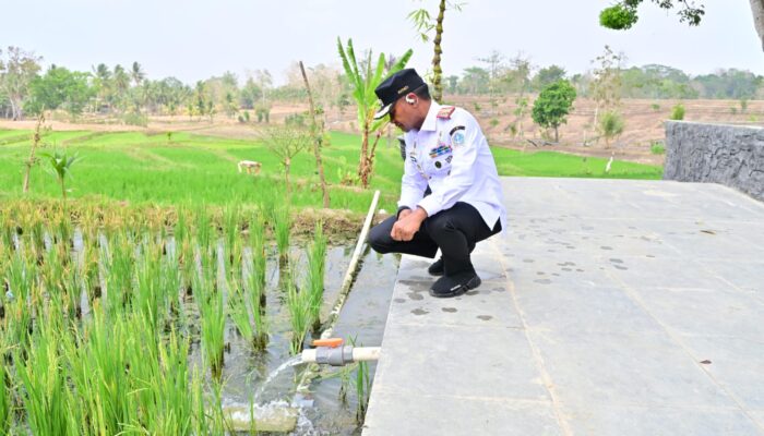 BupAAS Bidik Potensi Embung Anti-El Niño, Pertanian Bone Didorong Tak Bergantung Musim