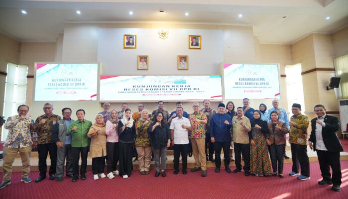 Gubernur Sulsel Titip Aspirasi ke Komisi VII DPR RI, UMKM hingga Industri