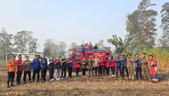 Dua Kebakaran Terjadi di Bone dalam Sehari, Damkar Ingatkan Bahaya Bakar Lahan