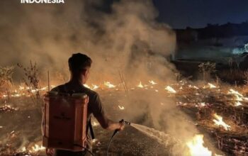 Innalillah, Kebakaran Lahan di Desa Tea Malala, Pemadam Siaga Cegah Api Meluas ke Pemukiman
