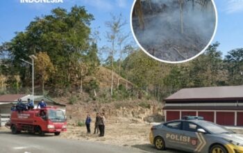 Kebakaran Lahan di Timusu, Damkar-Polisi Siaga Cegah Api ke Pemukiman