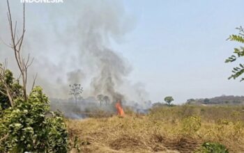 Kebakaran Lahan di Sibulue, Damkar Gerak Cepat Padamkan