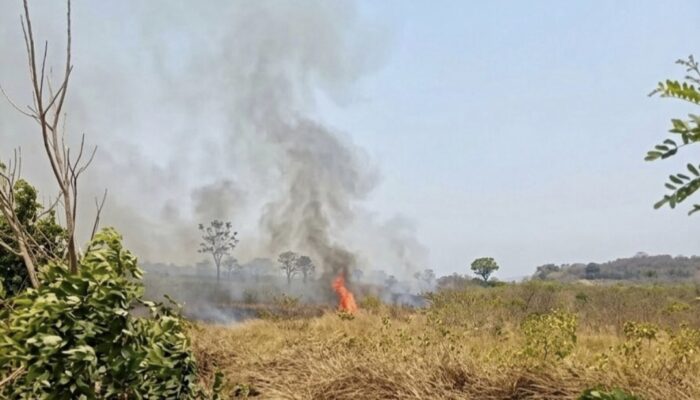Kebakaran Lahan di Sibulue, Damkar Gerak Cepat Padamkan