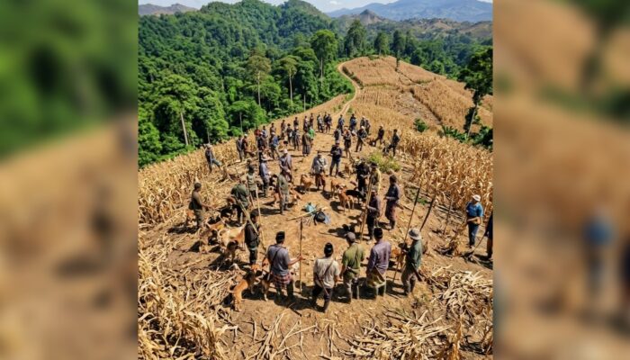 Besok! Tradisi Maddengngeng di Gelar di Amali, Peserta Diingatkan Jaga Puntung Rokok