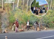 Ulaweng Galakkan Aksi Bersih: Hari Ini Sasar Poros Bone-Makassar, Besok Jelloe