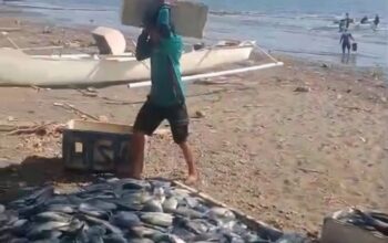 Nelayan di Barru Raup Hasil Tangkapan Ikan Senilai Rp200 Juta Berkat Apartemen Ikan Pemprov Sulsel