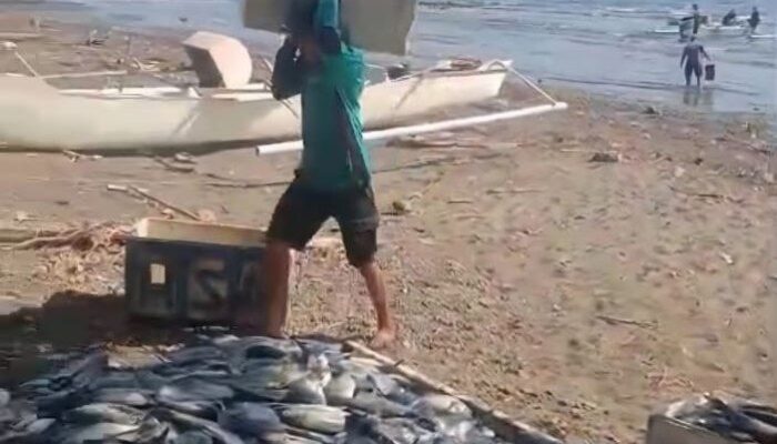 Nelayan di Barru Raup Hasil Tangkapan Ikan Senilai Rp200 Juta Berkat Apartemen Ikan Pemprov Sulsel
