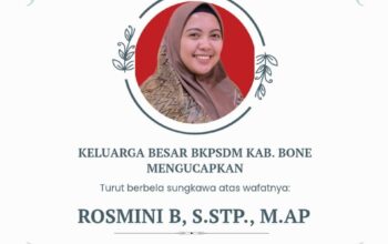 Kabar Duka, Analis SDM BKPSDM Bone Meninggal Dunia dalam Kecelakaan di Sibulue