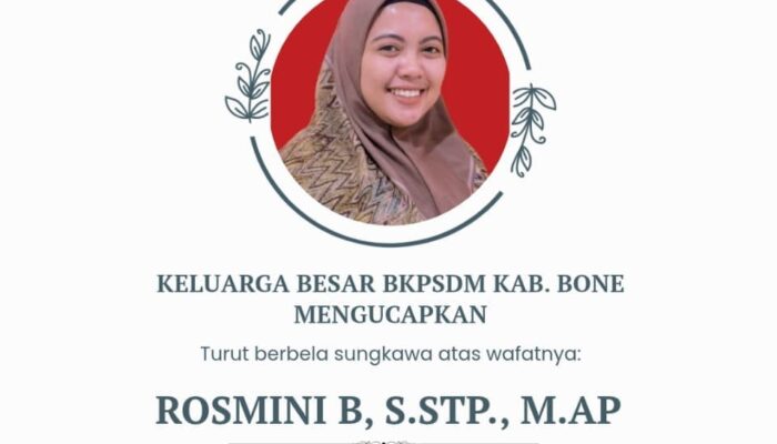 Kabar Duka, Analis SDM BKPSDM Bone Meninggal Dunia dalam Kecelakaan di Sibulue
